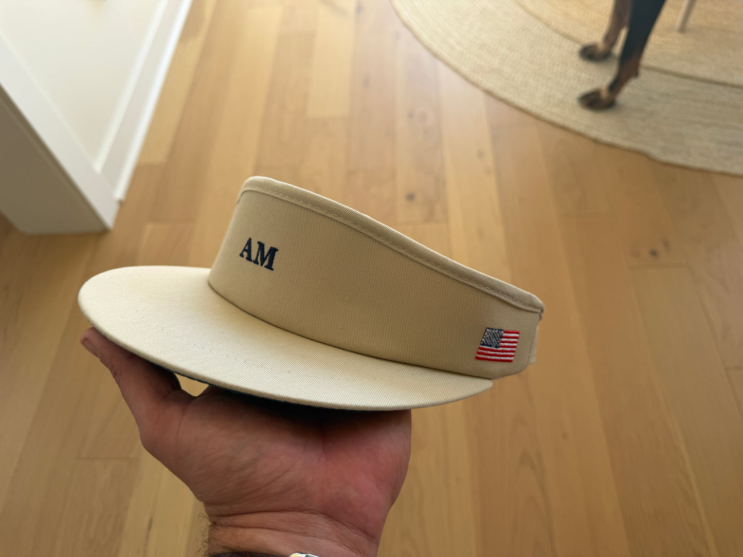 The AM Tour Visor
