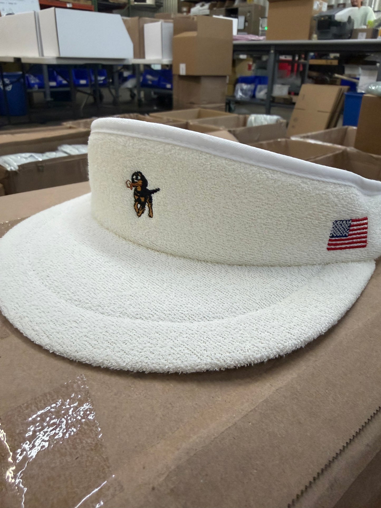 The George Visor